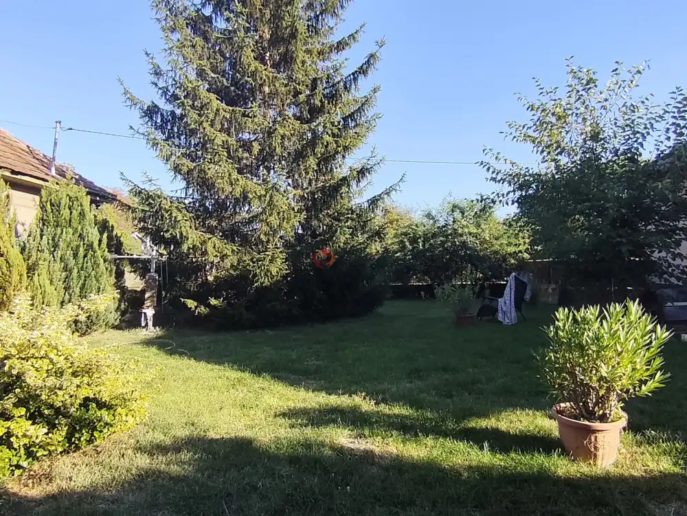 Pest megye - Pusztavacs