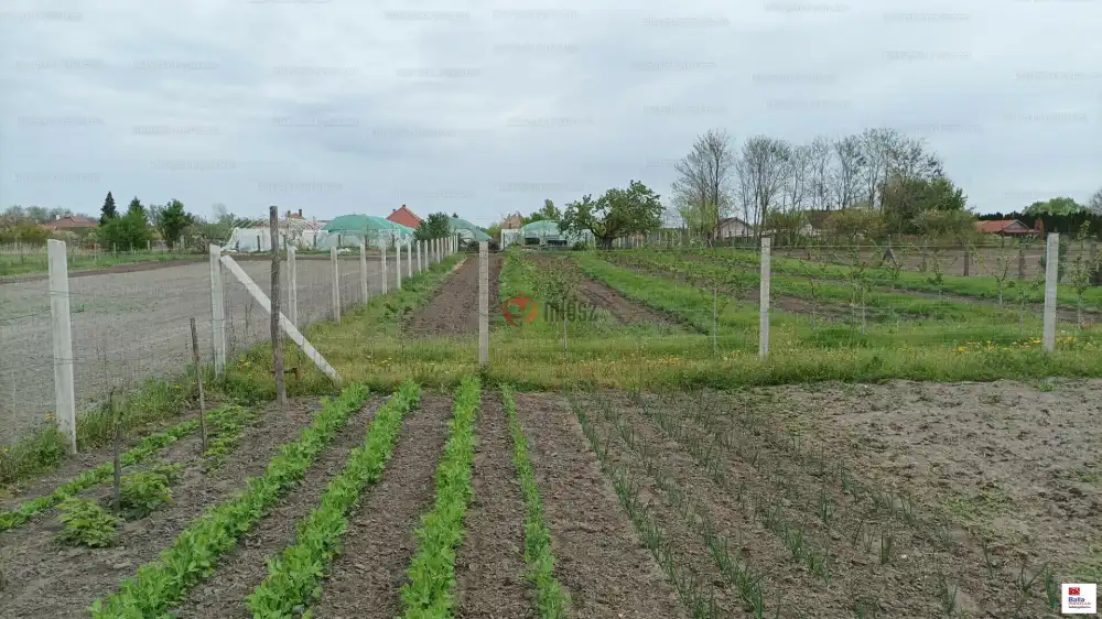 Pest megye - Pusztavacs