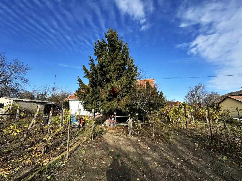 Pest megye - Ráckeve