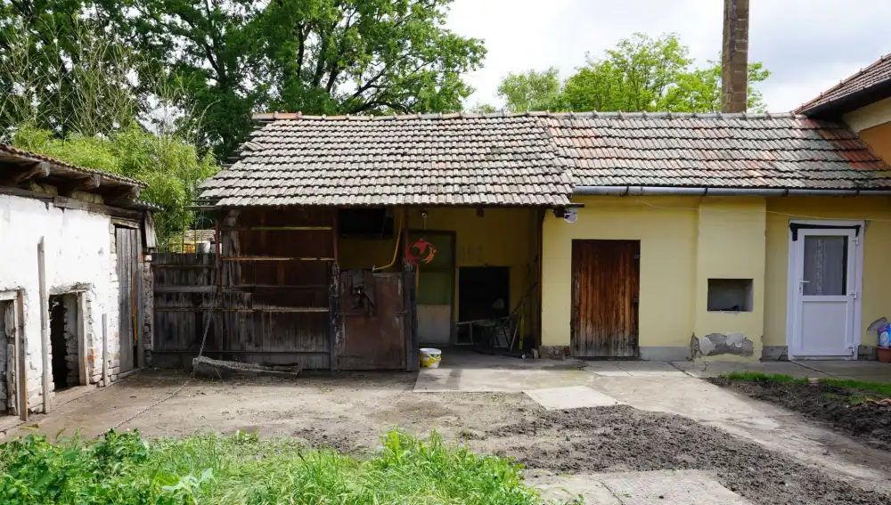 Csongrád megye - Sándorfalva