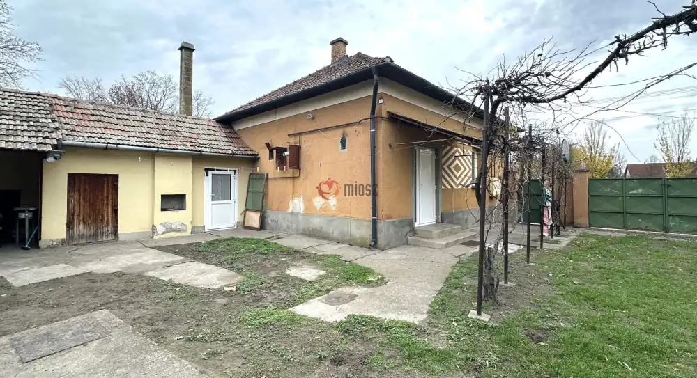 Csongrád megye - Sándorfalva