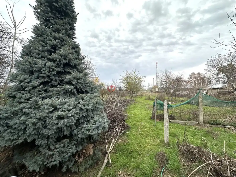 Csongrád megye - Sándorfalva