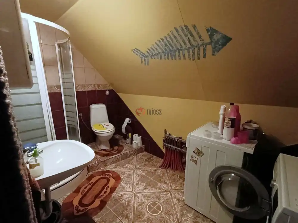 Csongrád megye - Sándorfalva