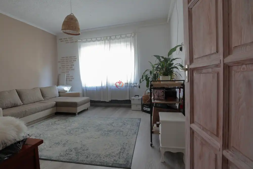 Csongrád megye - Sándorfalva