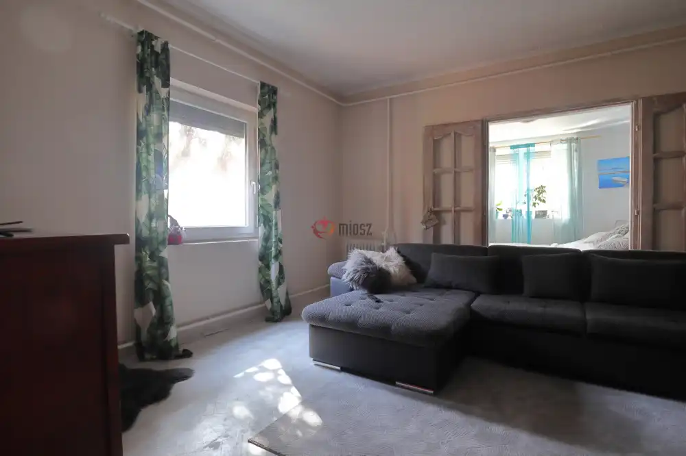 Csongrád megye - Sándorfalva