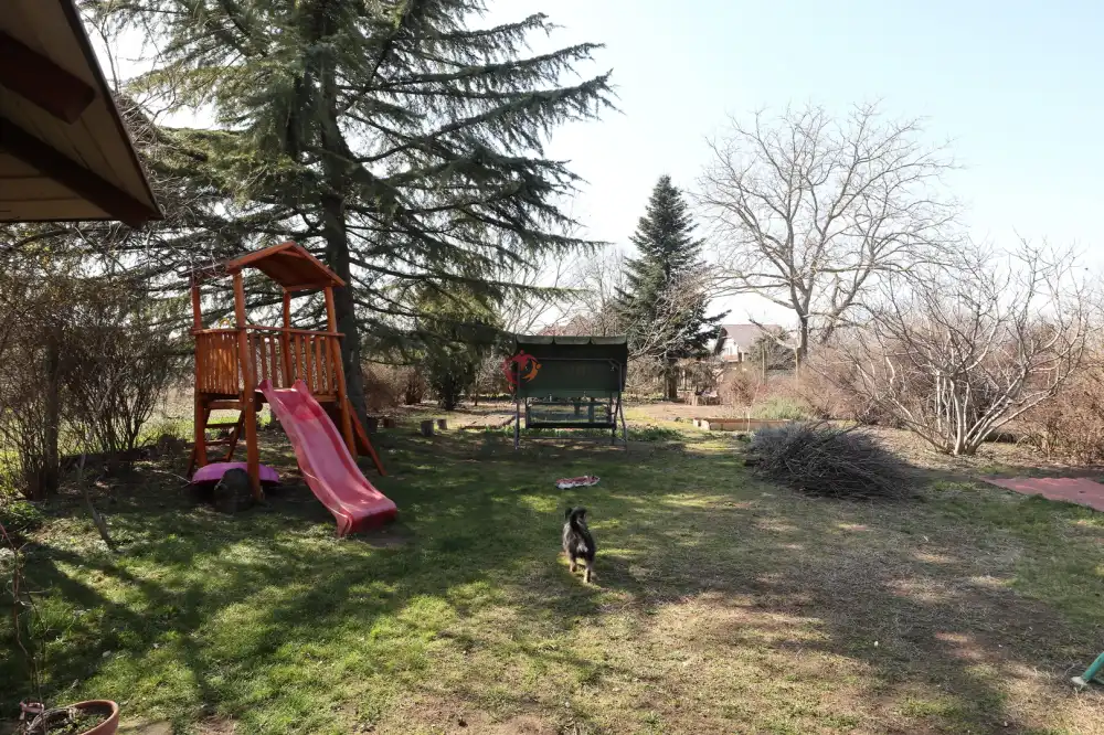 Csongrád megye - Sándorfalva