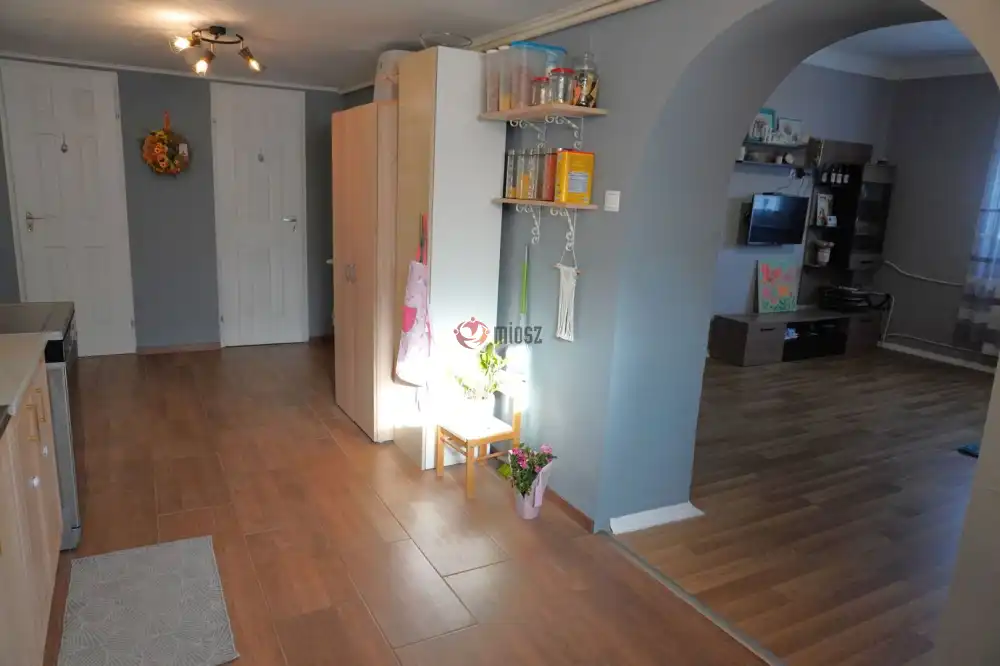 Csongrád megye - Sándorfalva