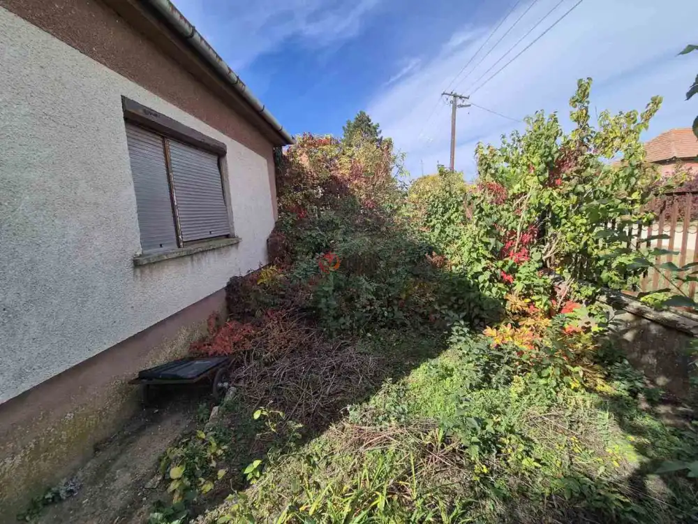 Bács-Kiskun megye - Solt