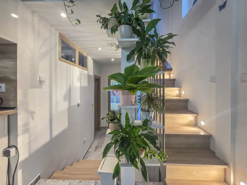 Győr-Moson-Sopron megye - Sopron