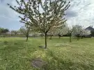 Fejér megye - Szabadbattyán