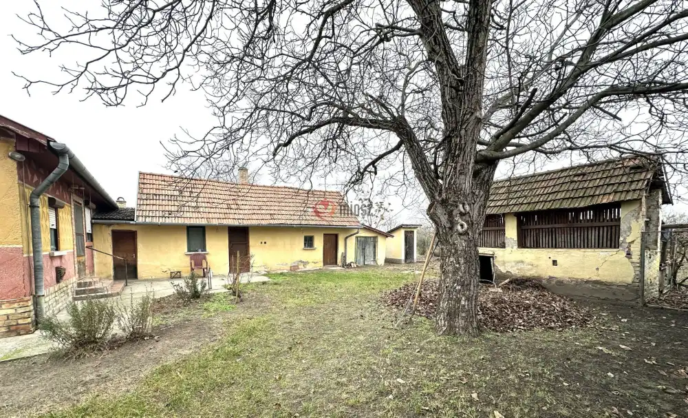 Csongrád megye - Szatymaz