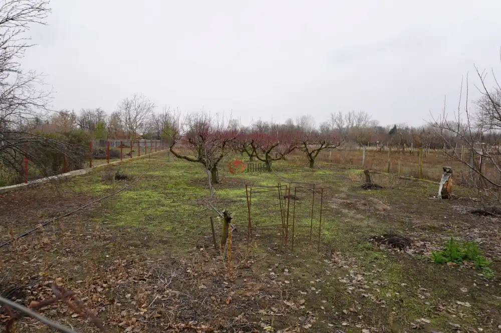 Csongrád megye - Szatymaz