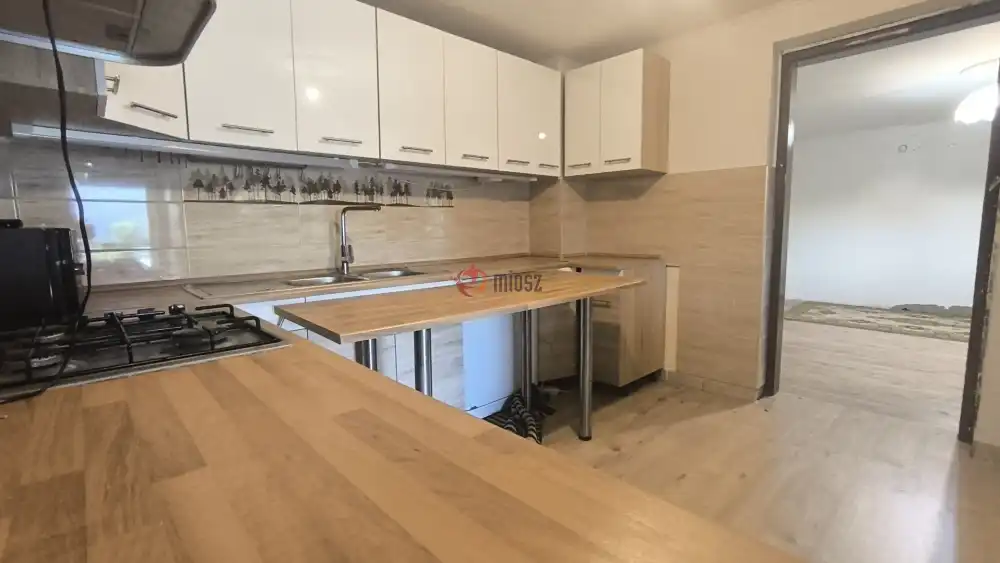 Csongrád megye - Szeged