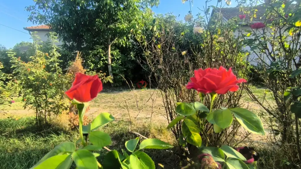 Csongrád megye - Szeged