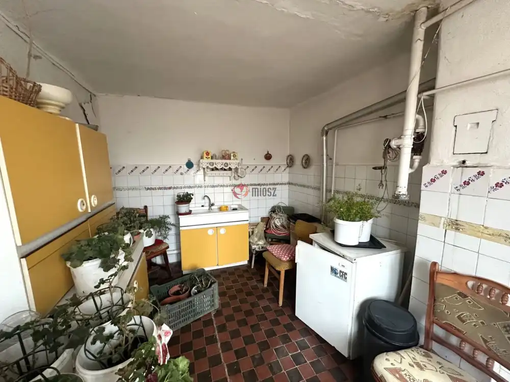 Csongrád megye - Szeged