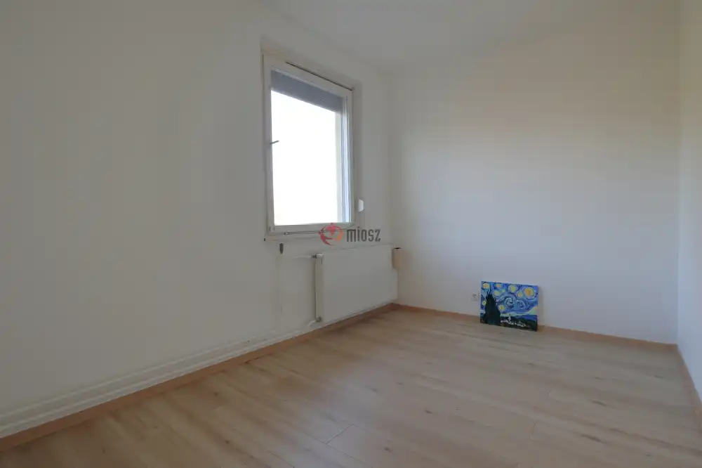 Csongrád megye - Szeged