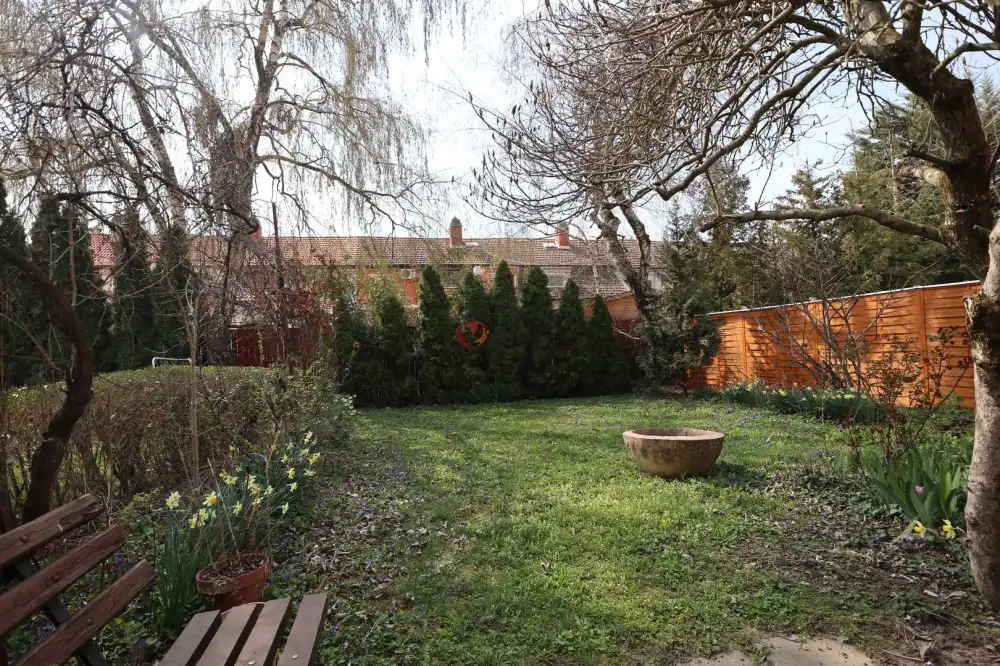 Csongrád megye - Szeged