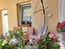 Csongrád megye - Szeged