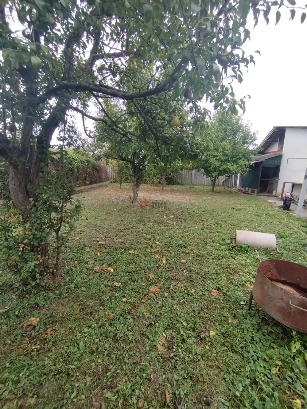 Csongrád megye - Szeged