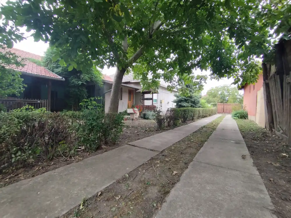 Csongrád megye - Szeged