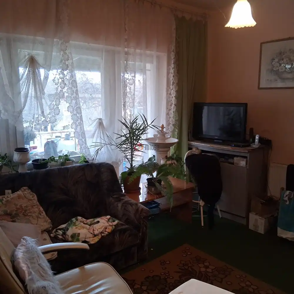 Csongrád megye - Szentes