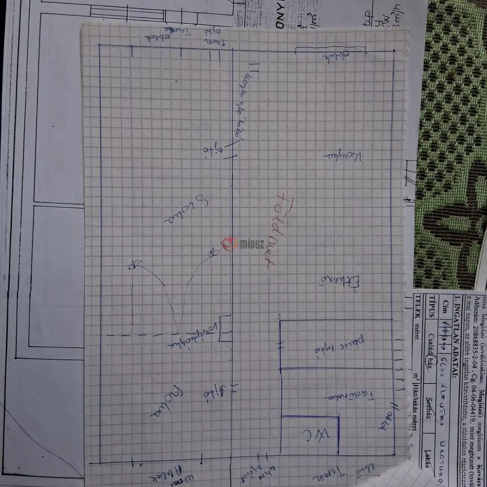 Csongrád megye - Szentes