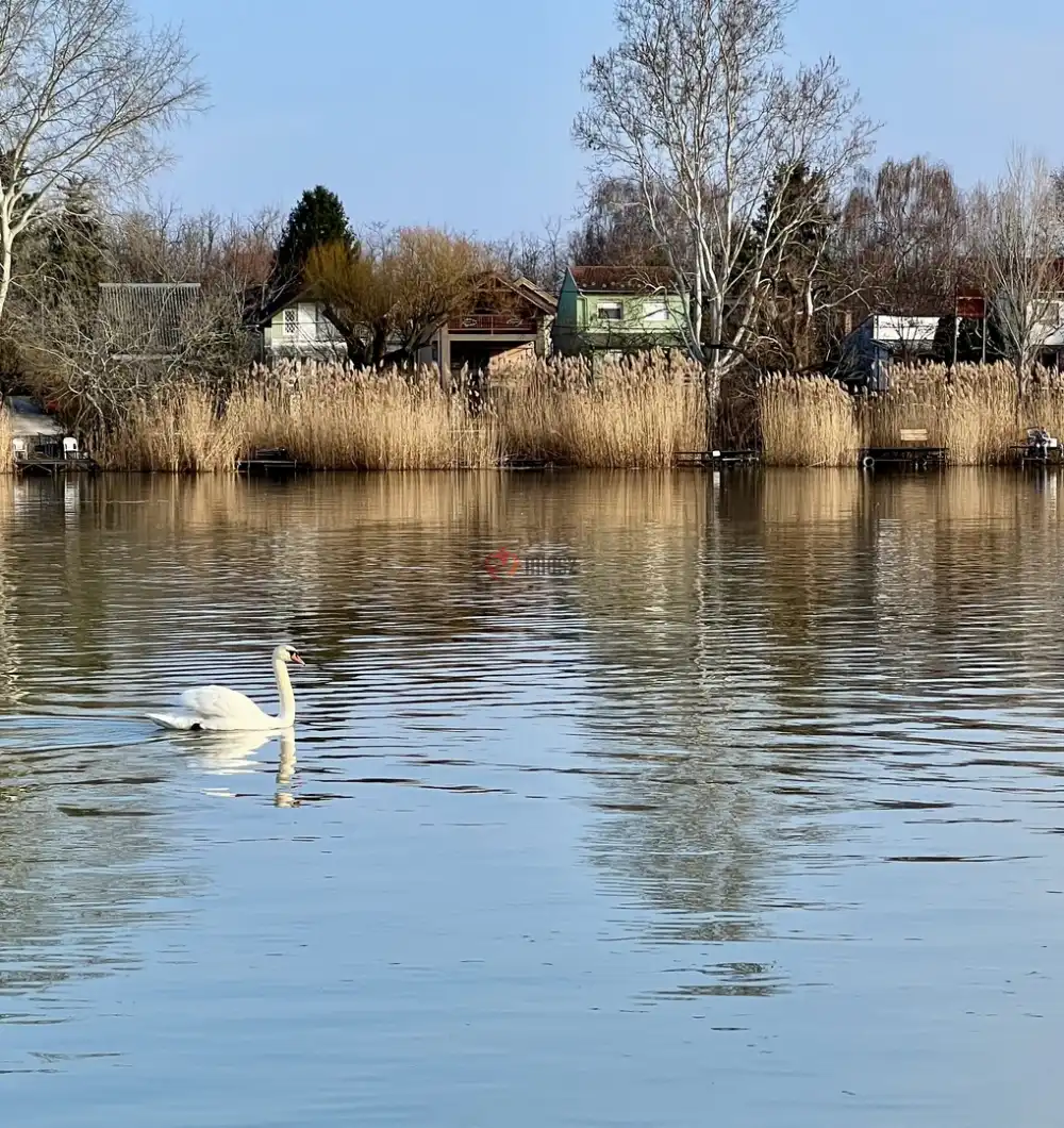 Pest megye - Szigethalom