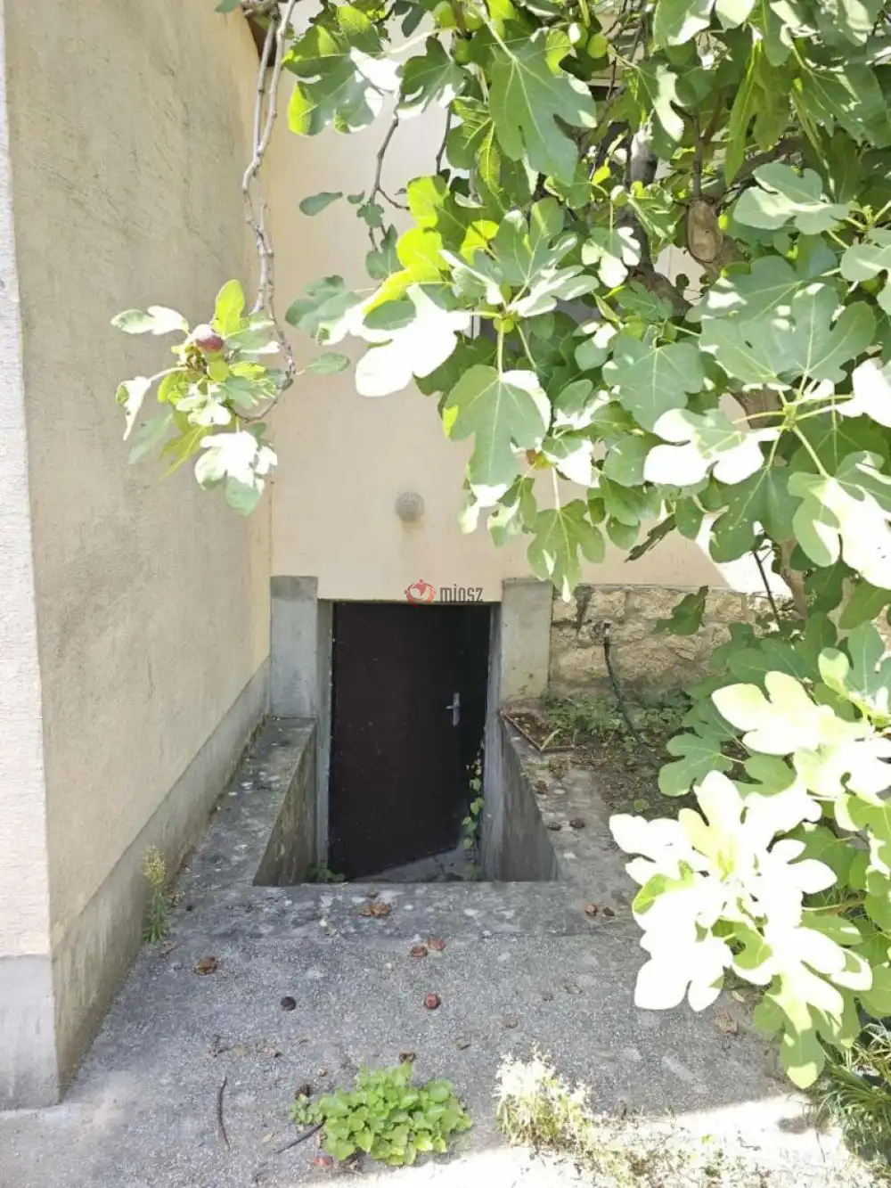 Veszprém megye - Tapolca