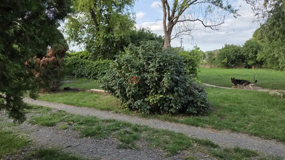 Borsod-Abaúj-Zemplén megye - Tarcal