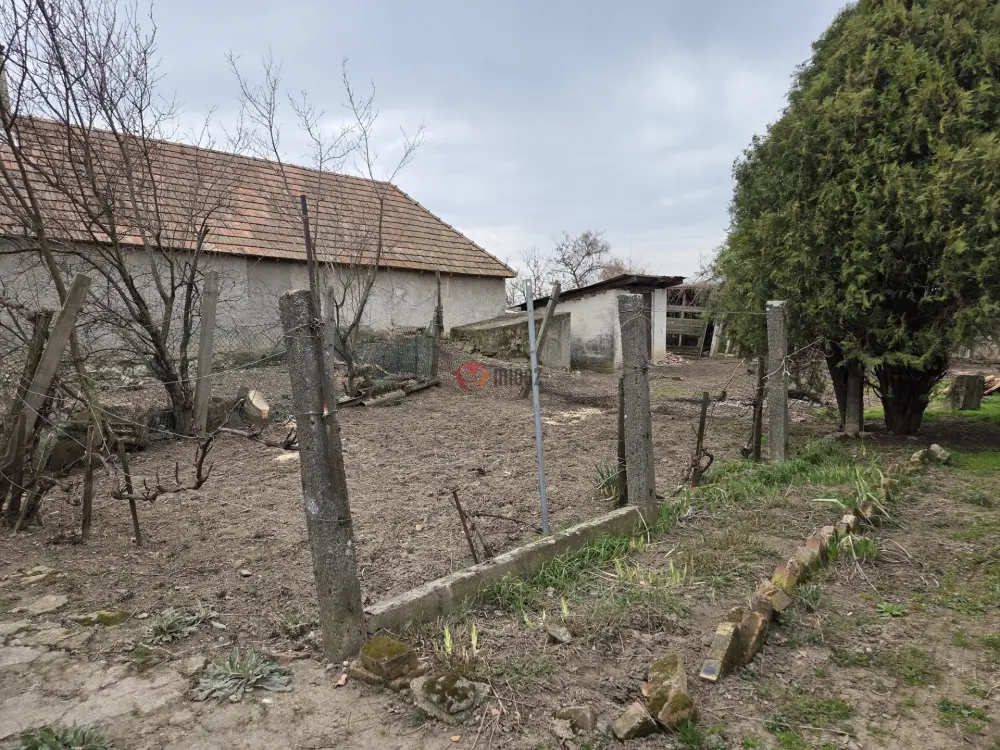Borsod-Abaúj-Zemplén megye - Tarcal