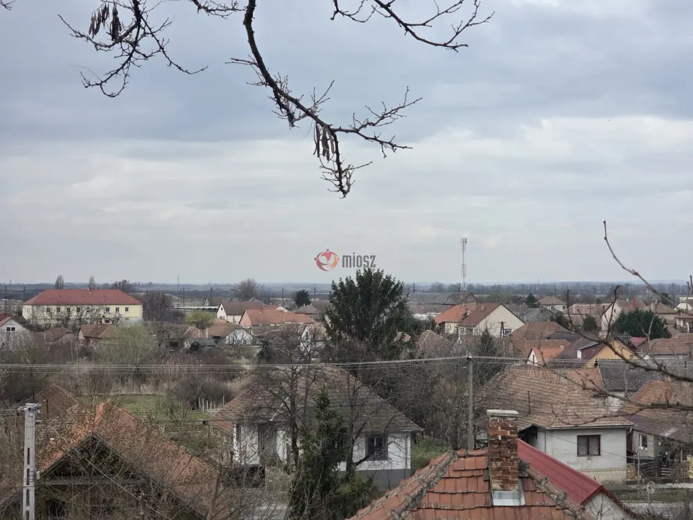 Borsod-Abaúj-Zemplén megye - Tarcal