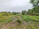 Komárom-Esztergom megye - Tarján