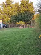 Pest megye - Tatárszentgyörgy