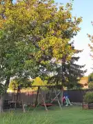 Pest megye - Tatárszentgyörgy