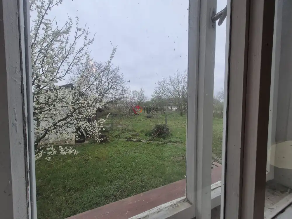 Jász-Nagykun-Szolnok megye - Tiszaszőlős