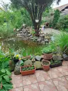 Pest megye - Tóalmás