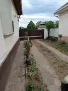 Pest megye - Tóalmás