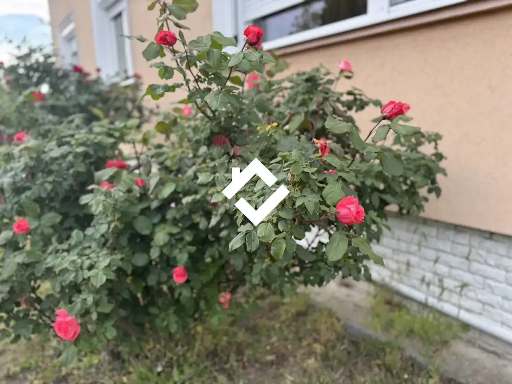 Pest megye - Tököl