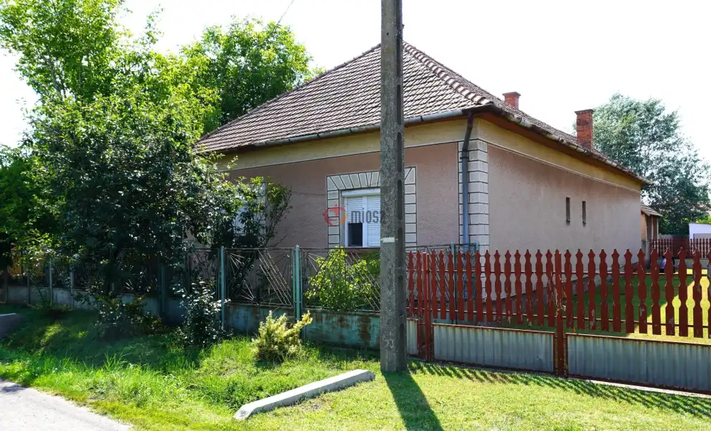 Csongrád megye - Tömörkény