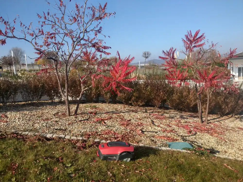 Pest megye - Törökbálint