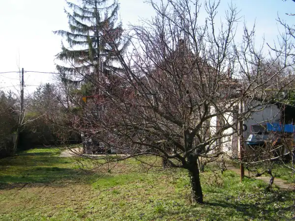 Eladó családi ház, Törökbálint 1 szoba 32 m² 54.9 M Ft