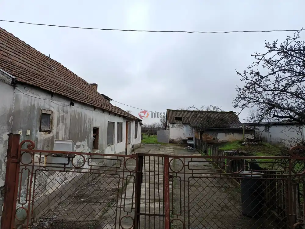 Baranya megye - Udvar