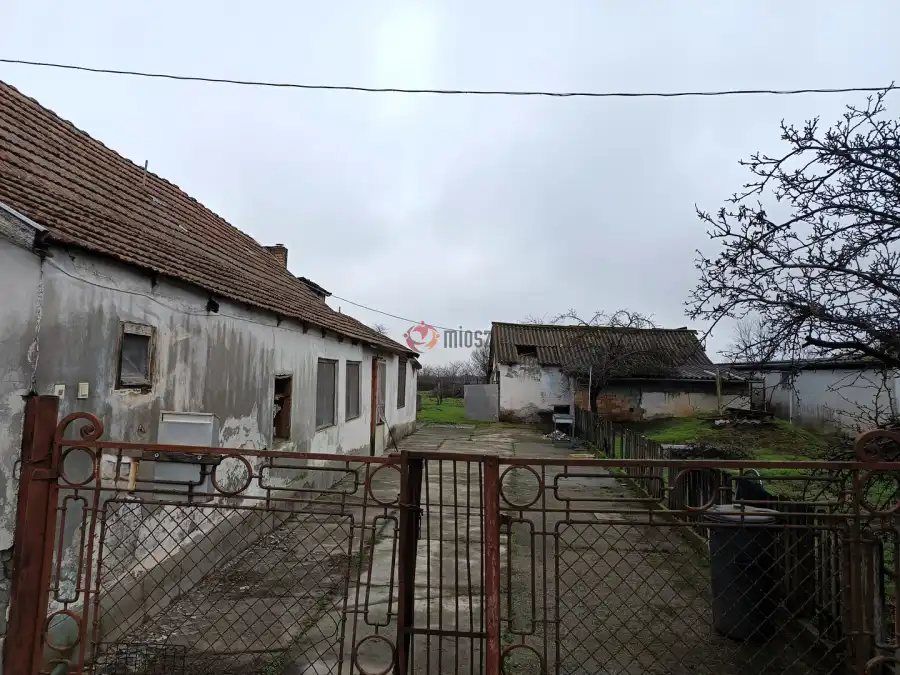 eladó családi ház, Udvar