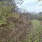 Fejér megye - Újbarok