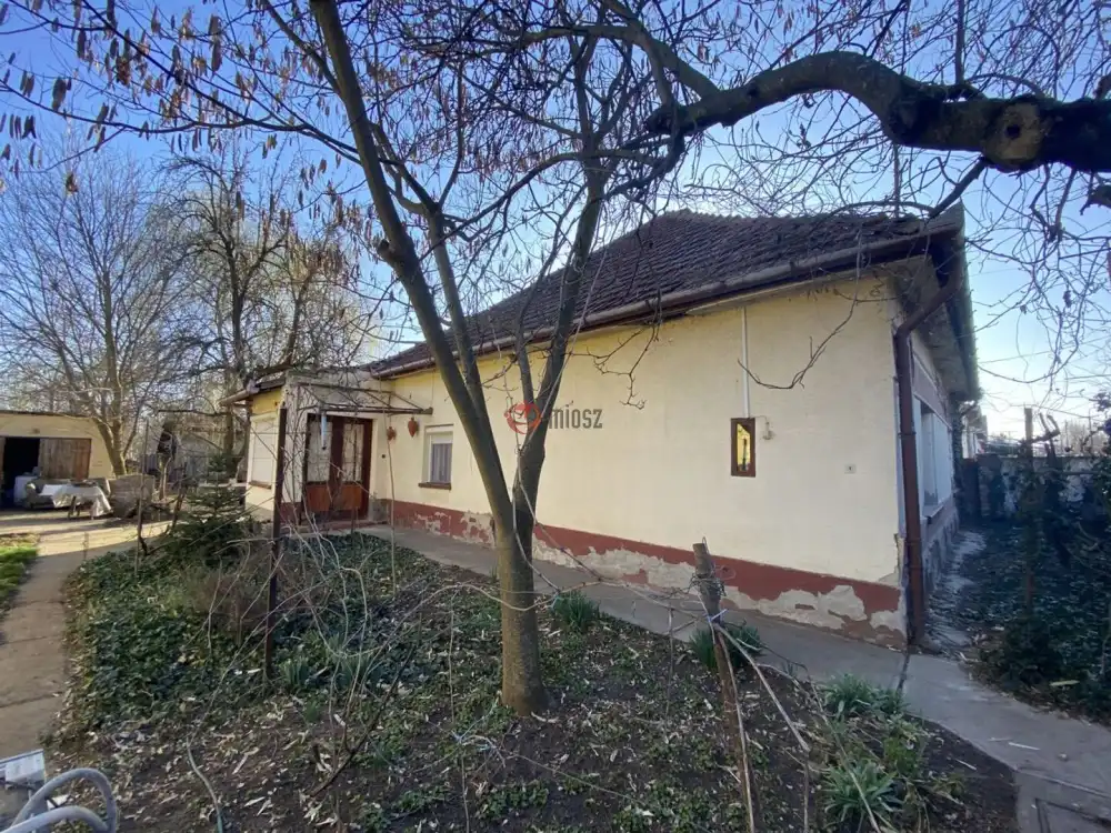 Békés megye - Újkígyós