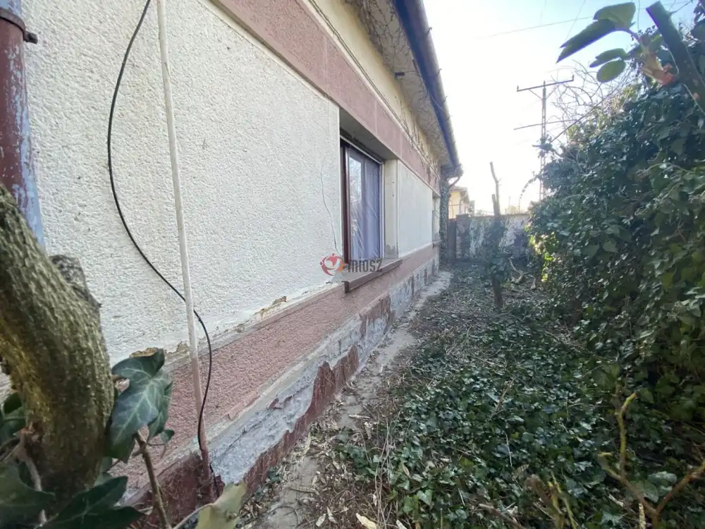 Békés megye - Újkígyós