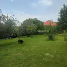 Pest megye - Vác