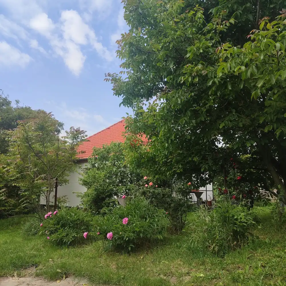 Pest megye - Vác