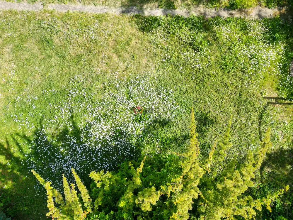 Pest megye - Vác