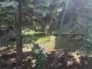 Fejér megye - Velence